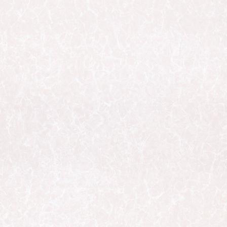 فواید استفاده از سرامیک سفید در دکوراسیون آشپزخانه